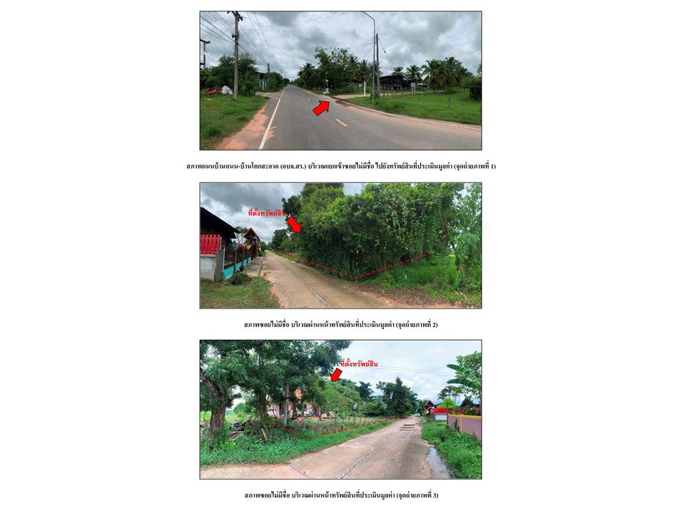 picture LAND 884 Sq.w. Sangkha Surin for 1.6M - 2/5