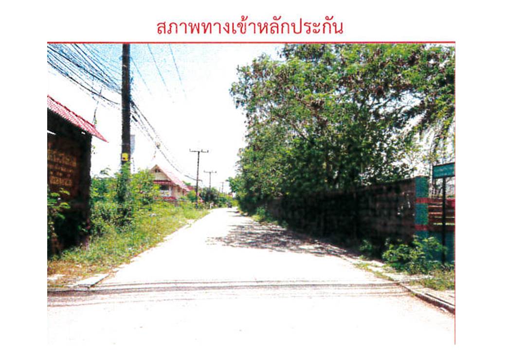 รูป ที่ดินพร้อมสิ่งปลูกสร้าง 26.3 ตร.วา เมืองพัทลุง พัทลุง 1.9M - รูปที่ 4/7