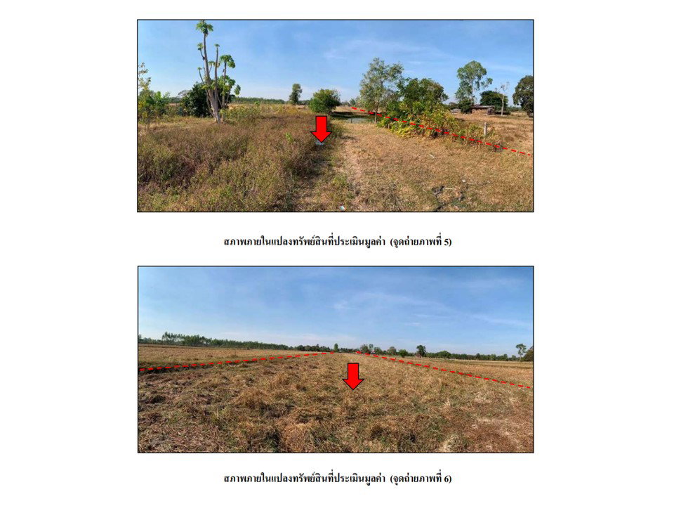 picture LAND 1622.5 Sq.w. Khukhan Si Sa Ket for 1.3M - 4/10