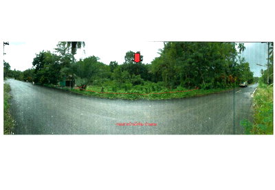 Land for sale Nakhon Sri Thammarat : LAND 235.3 Sq.w. Bang Khan Nakhon Sri Thammarat for 658,000