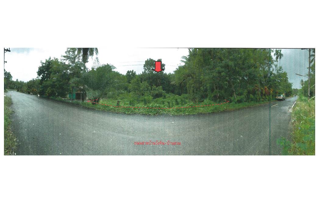 รูป ที่ดิน 235.3 ตร.วา บางขัน นครศรีธรรมราช 658,000 - รูปที่ 1/5