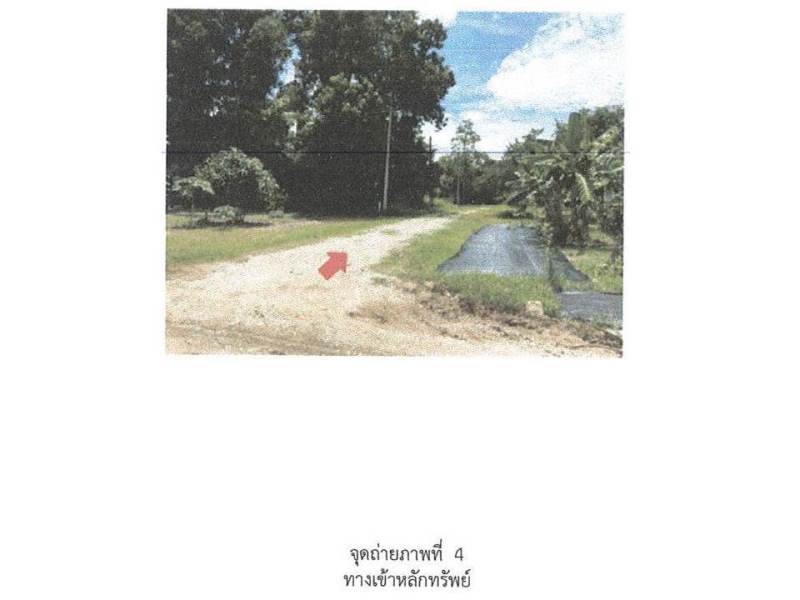 รูป ที่ดินพร้อมสิ่งปลูกสร้าง 50 ตร.วา นาทวี สงขลา 1.1M - รูปที่ 5/8