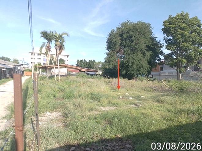 รูป ที่ดินว่างเปล่า 400 ตร.วา บางละมุง ชลบุรี 15M - รูปที่ 4/15