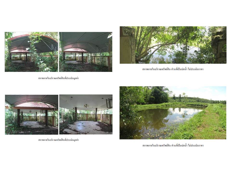 picture LAND 445.7 Sq.w. Huai Yot Trang for 2.5M - 6/6