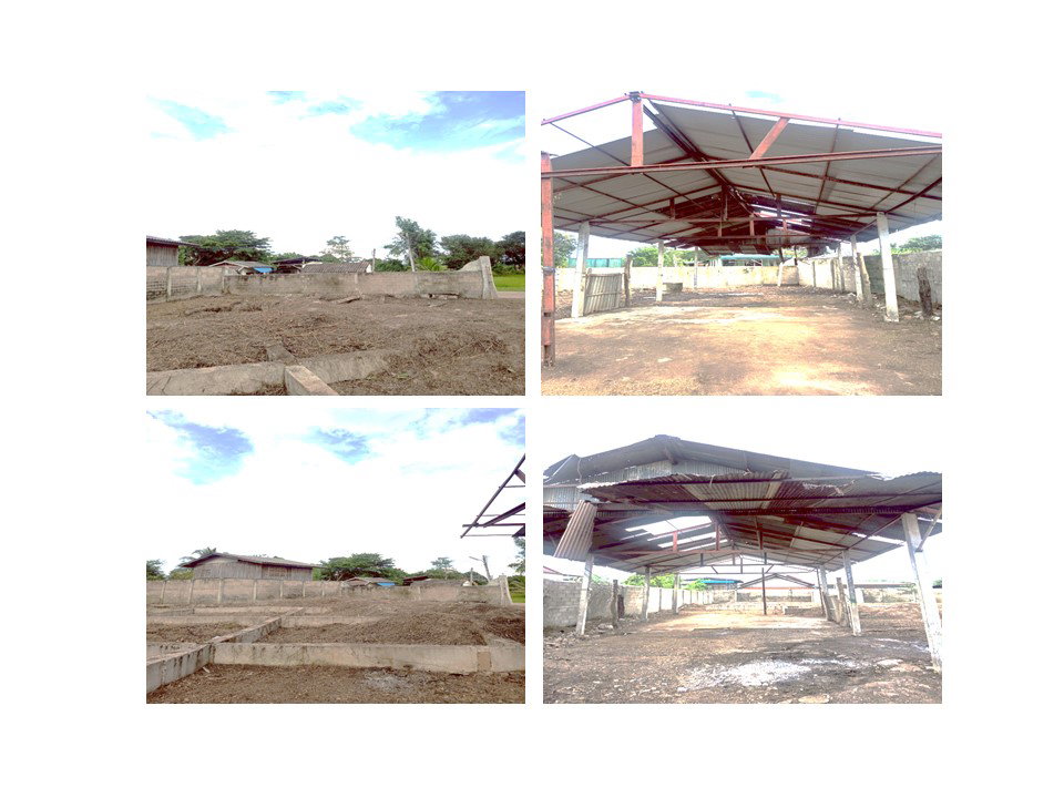 รูป ที่ดินพร้อมสิ่งปลูกสร้าง 198 ตร.วา เมืองพะเยา พะเยา 840,000 - รูปที่ 5/6