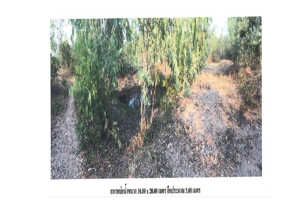 picture LAND 3130 Sq.w. Ko Kha Lamphang for 1.1M - 8/8