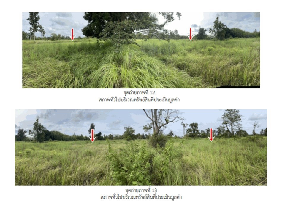 picture LAND 6917 Sq.w. Si Muang Mai Ubon Ratchathani for 1.7M - 8/10