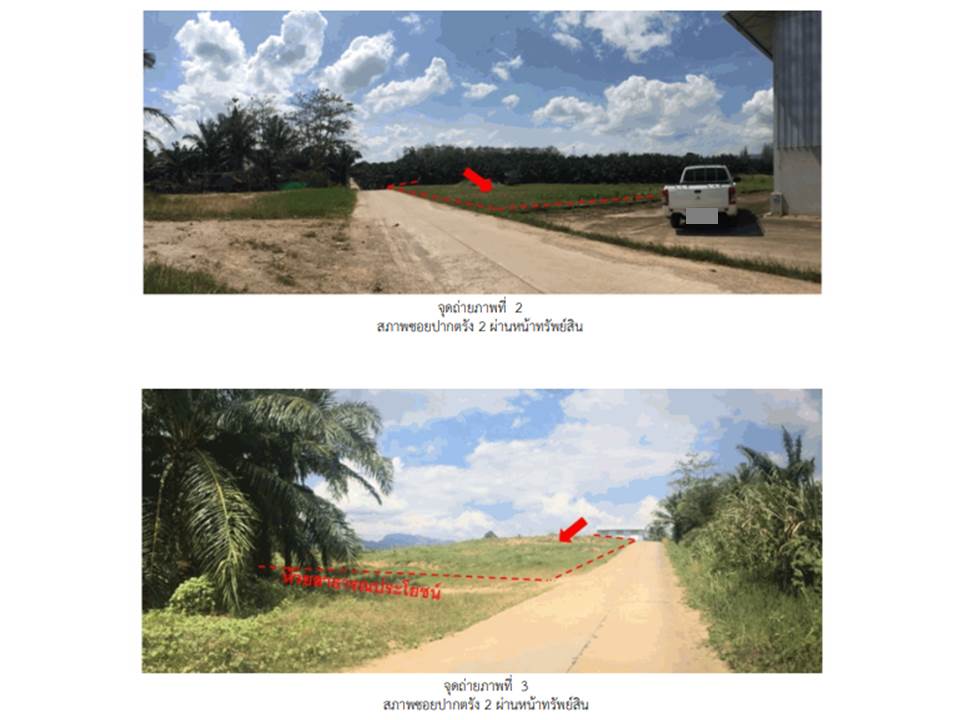 รูป ที่ดิน 2722 ตร.วา พนม สุราษฎร์ธานี 3.2M - รูปที่ 3/4