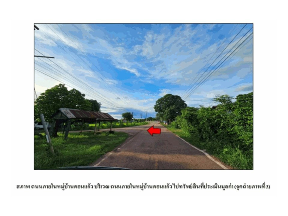 picture LAND 79 Sq.w. Phen Udon Thani for 827,000 - 4/9