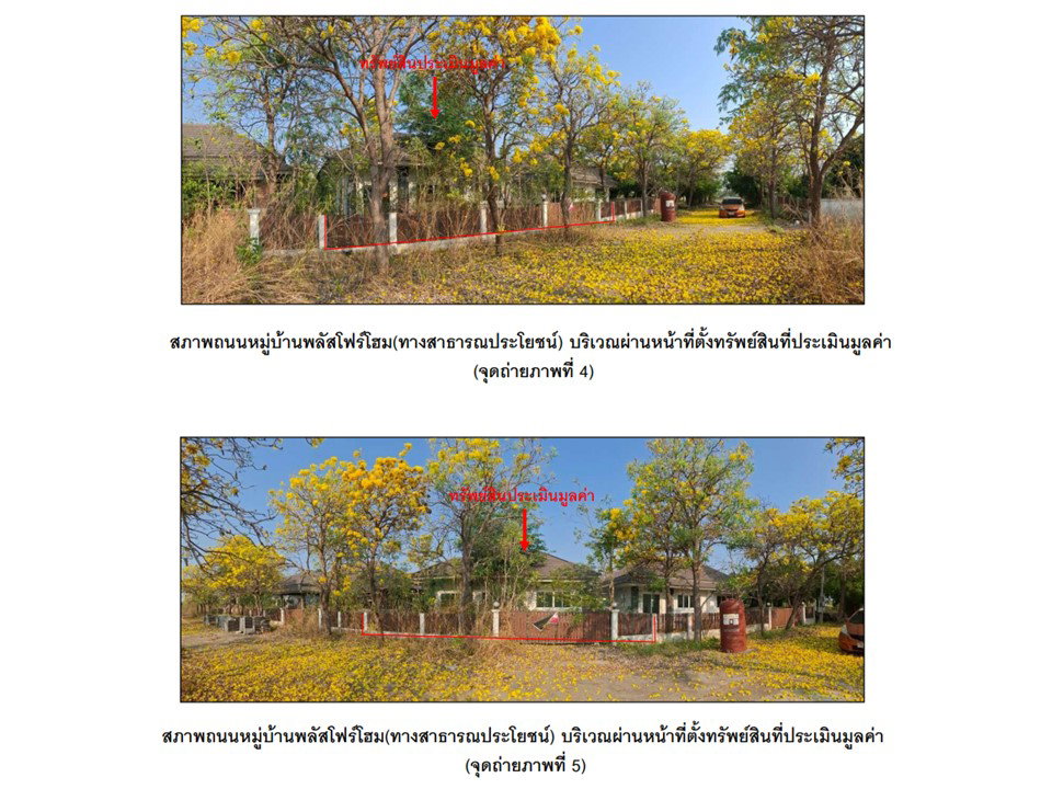 รูป ที่ดินพร้อมสิ่งปลูกสร้าง 53 ตร.วา พลัสโฟโฮม ตะพานหิน พิจิตร 1M - รูปที่ 3/8