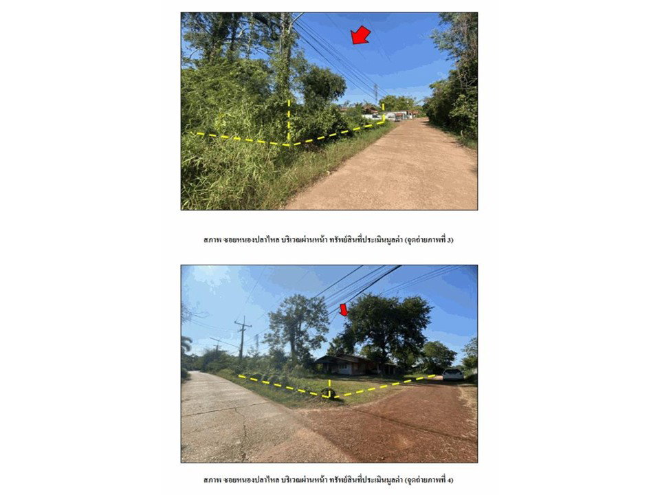 picture LAND 169 Sq.w. Phon Phisai Nongkai for 675,000 - 3/5