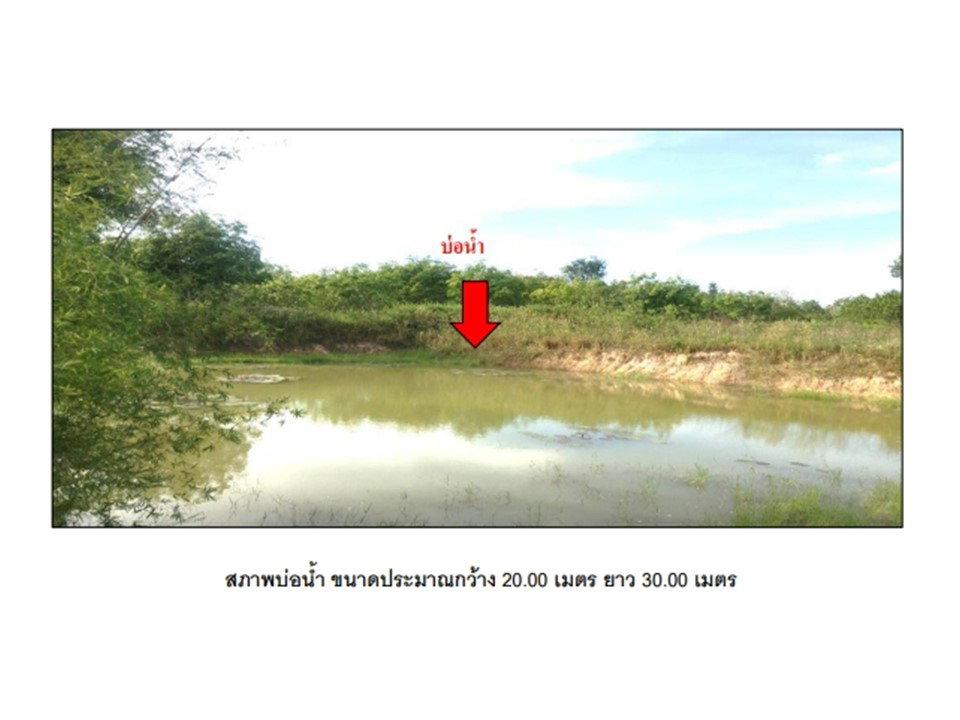 picture LAND 1980.1 Sq.w. Phanom Dong Rak Surin for 763,000 - 9/9