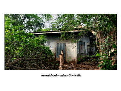 Land for sale Nakhon Ratchasima : LAND 104 Sq.w. Non Sung Nakhon Ratchasima for 215,000