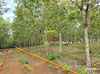 listing thumbnail image 5
