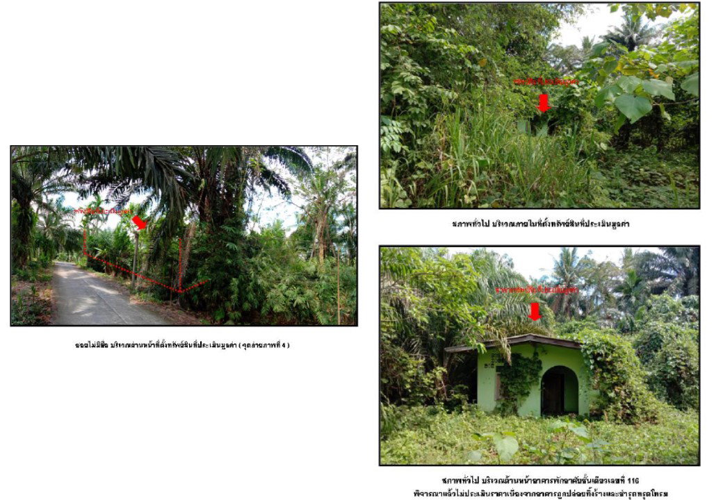 picture LAND 212.3 Sq.w. Lam Thap Krabi for 825,000 - 3/3