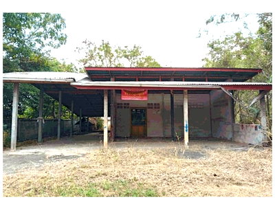 LAND 95 Sq.w. Pathum Ratwongsa Amnat Charoen for 367,000