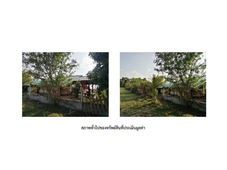 รูป ที่ดินพร้อมสิ่งปลูกสร้าง 800 ตร.วา ท่าตูม สุรินทร์ 690,000 - รูปที่ 7/9