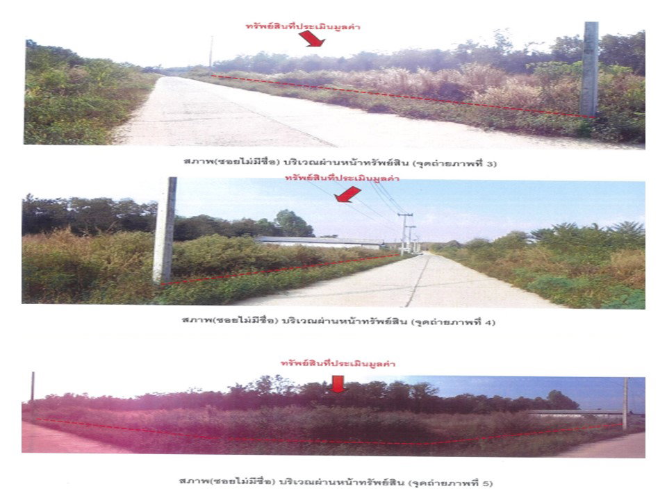 รูป ที่ดิน 486 ตร.วา ภูซาง พะเยา 938,000 - รูปที่ 3/4