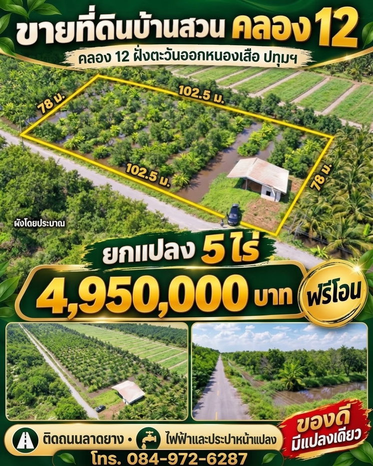 picture  Sale: 5-Rai Jackfruit Orchard in Nong Suea, Pathum Thani (Flood-free area) - 1/5