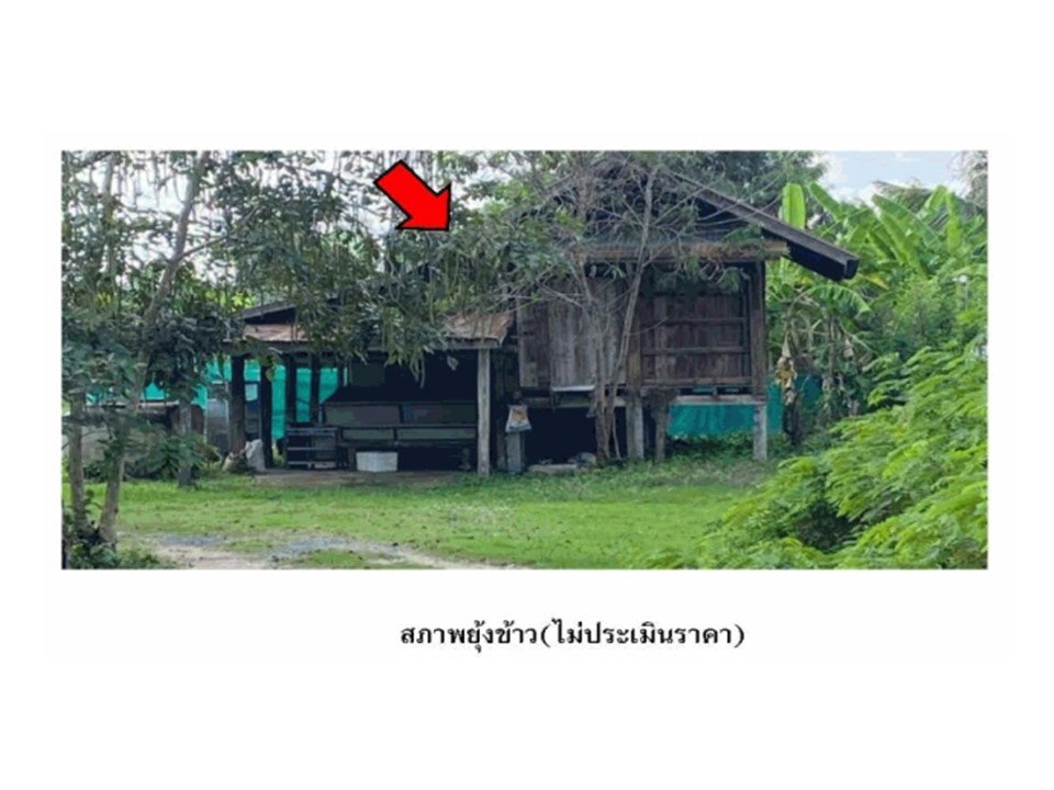 รูป ที่ดินพร้อมสิ่งปลูกสร้าง 469.5 ตร.วา บัวเชด สุรินทร์ 1.3M - รูปที่ 7/7