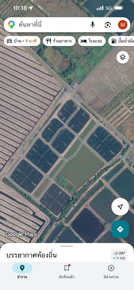 รูป ย่อเลี่ยงกุ้งพร้อมระบบไฟฟ้า 100% พร้อมบ้านพักและบ้านพักคนงาน ทั้งหมด 6 5 บ่อ 1 บ่อ พัก - รูปที่ 1/13