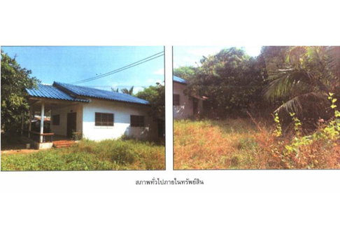 ที่ดินพร้อมสิ่งปลูกสร้าง 102 ตร.วา ปักธงชัย นครราชสีมา 563,000