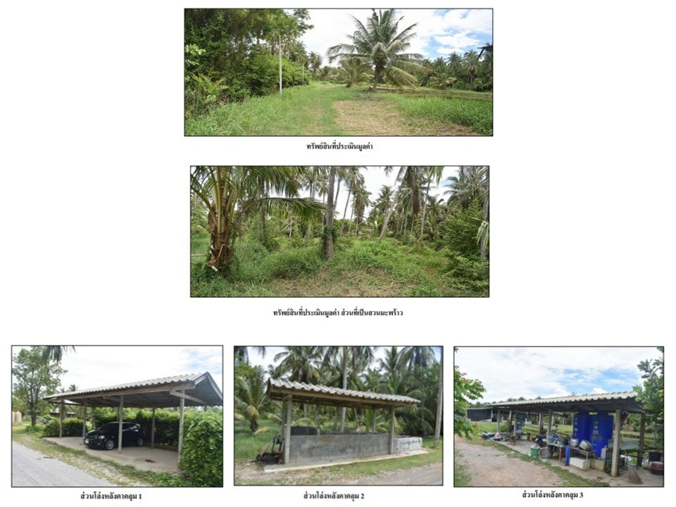 picture LAND 5533.3 Sq.w. Ban Laem Petchburi for 6.5M - 8/9