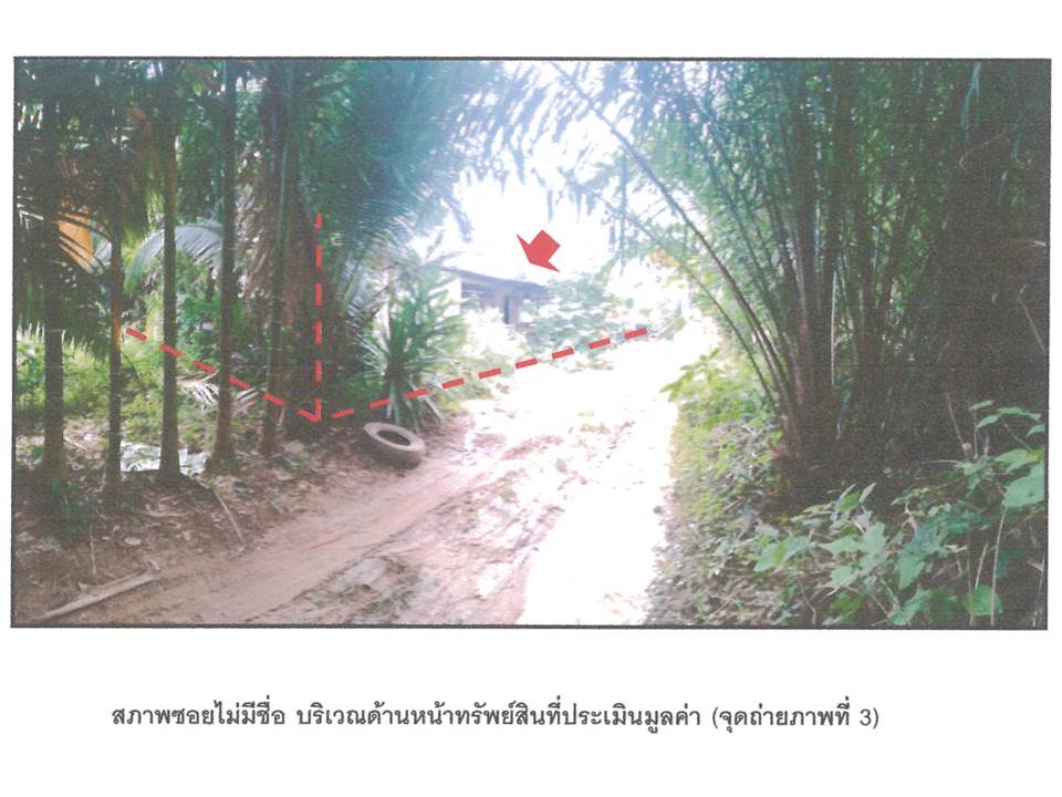 picture LAND 291 Sq.w. Muang Krabi Krabi for 1.3M - 4/6