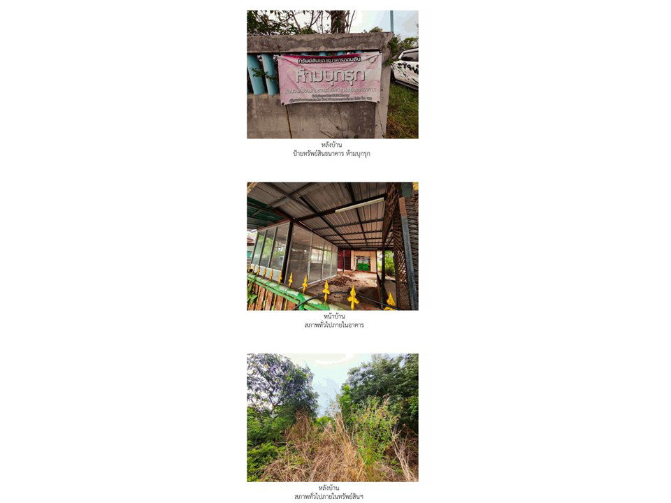 picture LAND 216 Sq.w. Nong Song Hong Khon Kaen for 2.3M - 3/3