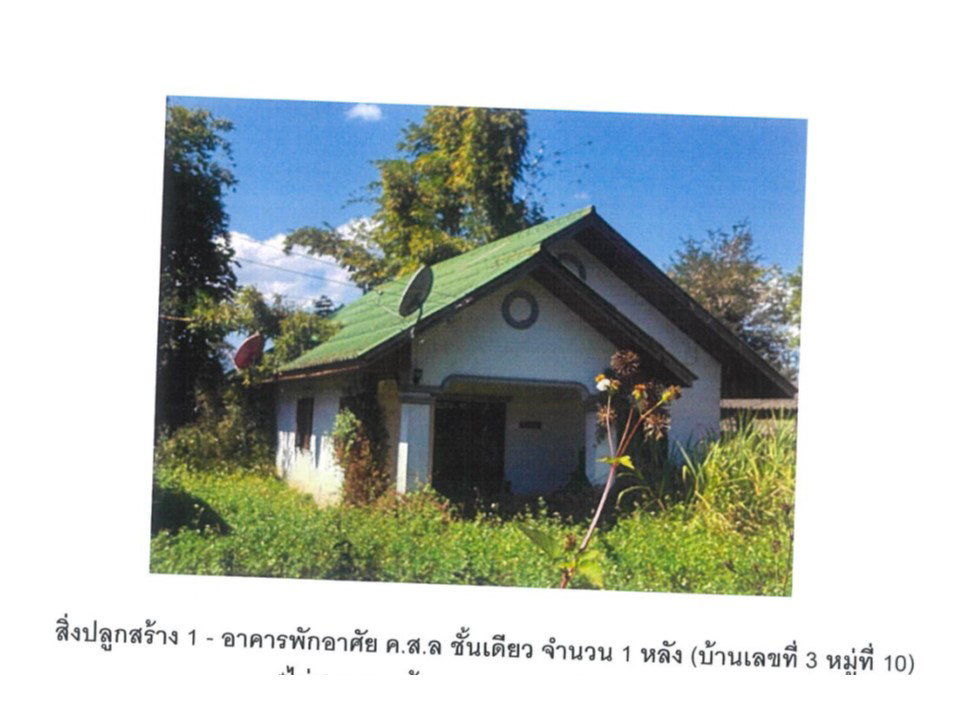 รูป ที่ดินพร้อมสิ่งปลูกสร้าง 165 ตร.วา ชุมชนหนองบัว เวียงป่าเป้า เชียงราย 806,000 - รูปที่ 2/6