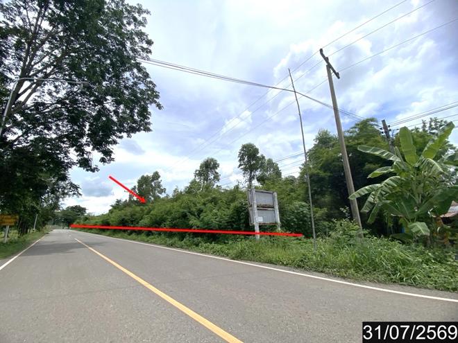 picture LAND 5726 Sq.w. Suwan Khuha Nong Bua Lam Phu for 2.6M - 4/15