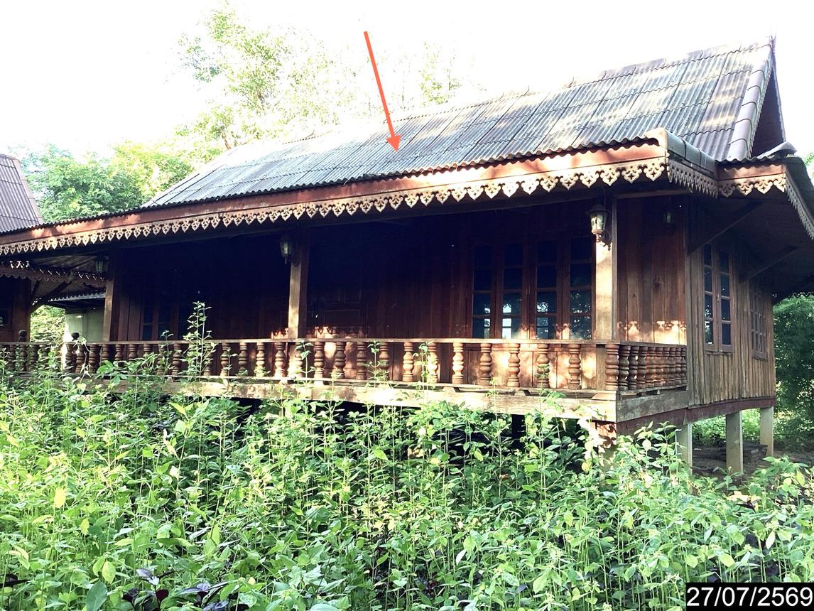 รูป บ้านเดี่ยว 1023 ตร.วา ท่าบ่อ หนองคาย 3.3M - รูปที่ 14/29
