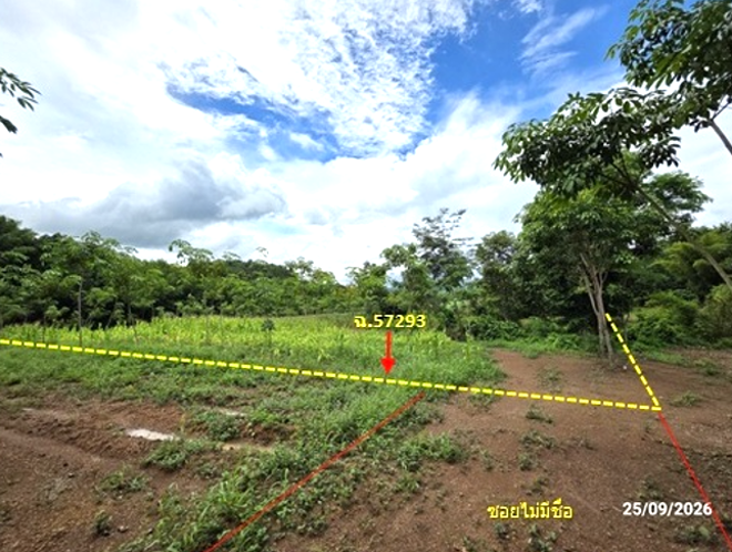 picture LAND 4695 Sq.w. Muang Loei Loei for 2.6M - 7/25