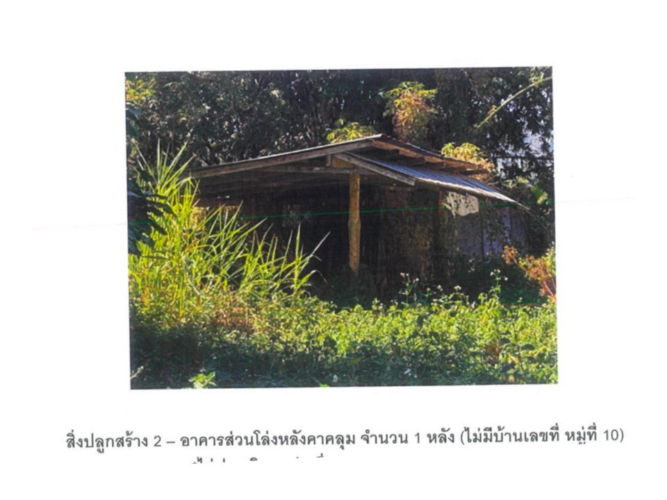 รูป ที่ดินพร้อมสิ่งปลูกสร้าง 165 ตร.วา ชุมชนหนองบัว เวียงป่าเป้า เชียงราย 806,000 - รูปที่ 3/6