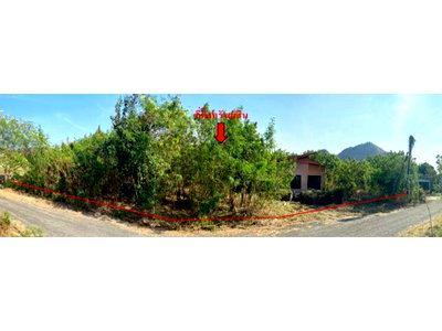 LAND 294 Sq.w. Wang Muang Saraburi for 2.3M