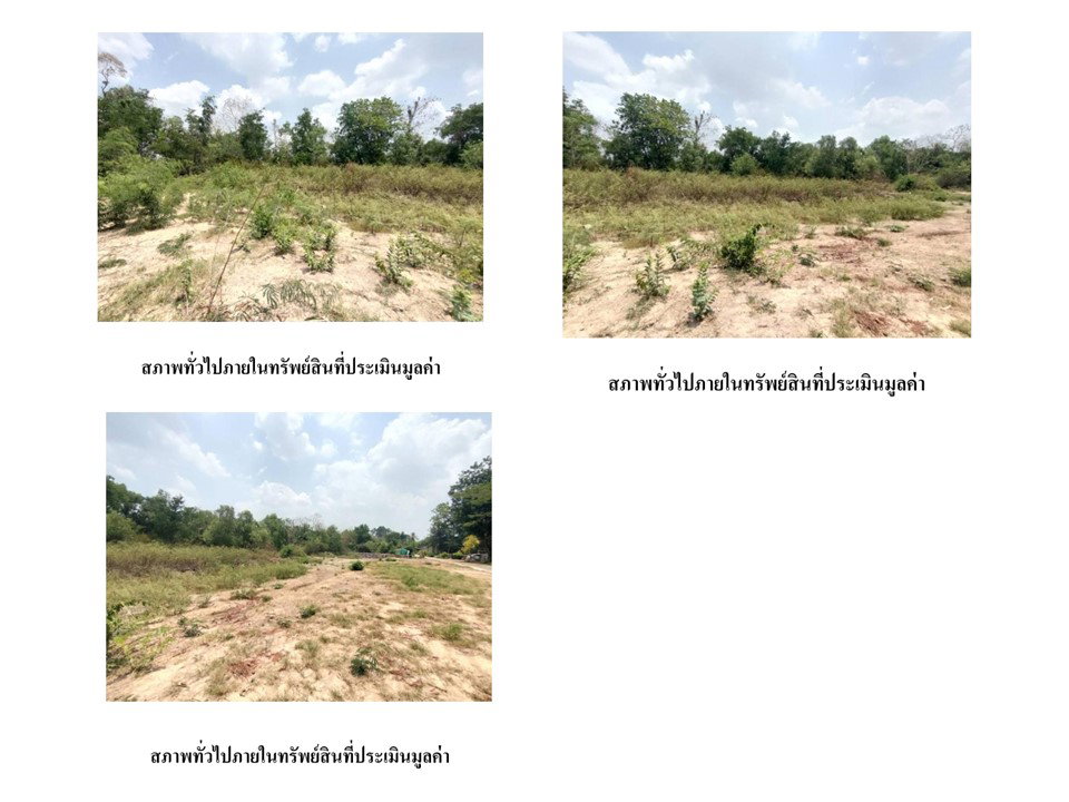 picture LAND 979 Sq.w. Prachantakham Prachinburi for 2.3M - 6/6