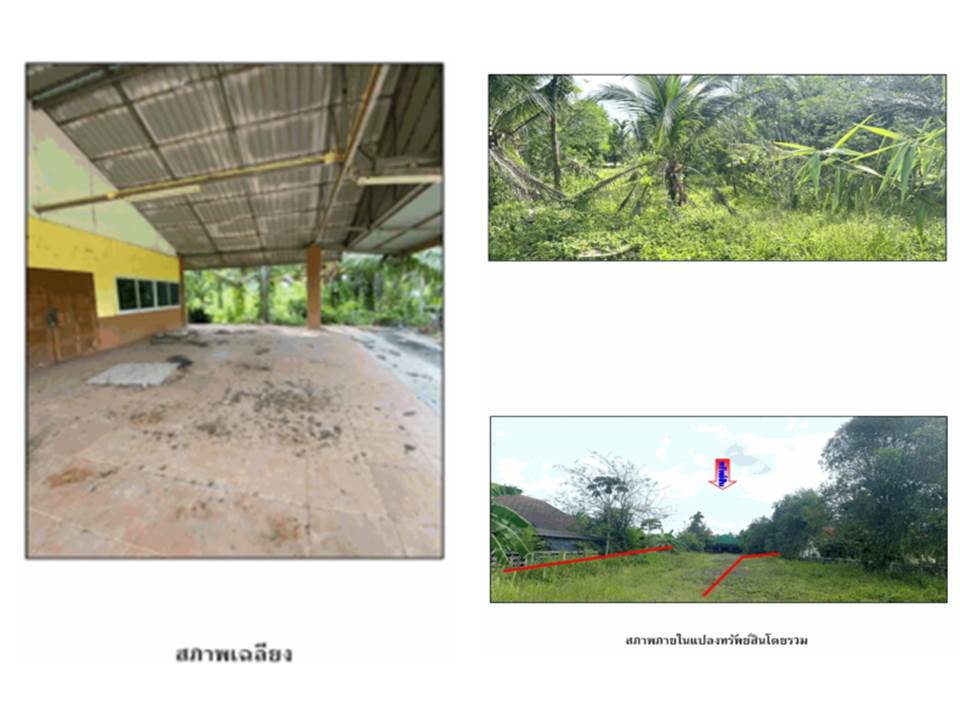 picture HOME 407 Sq.w. Sawi Chumphon for 1.5M - 2/2