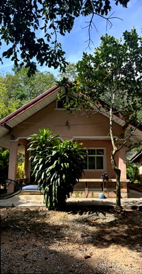 Houses for sale Phatthalung : HOME 134 Sq.w. Khuan Khanun Phatthalung for 765,000