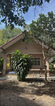 ที่ดินพร้อมสิ่งปลูกสร้าง 134 ตร.วา ควนขนุน พัทลุง 765,000