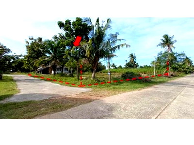บ้านเดี่ยว บุรีรัมย์ : ที่ดินพร้อมสิ่งปลูกสร้าง 448 ตร.วา กระสัง บุรีรัมย์ 1.5M