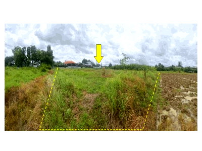 Land for sale บิ๊กซี แพร่ : LAND 2516.1 Sq.w. Sung Men Phrae for 22.6M