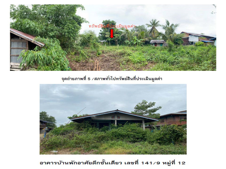 รูป ที่ดินพร้อมสิ่งปลูกสร้าง 164 ตร.วา บางระกำ พิษณุโลก 315,000 - รูปที่ 4/5