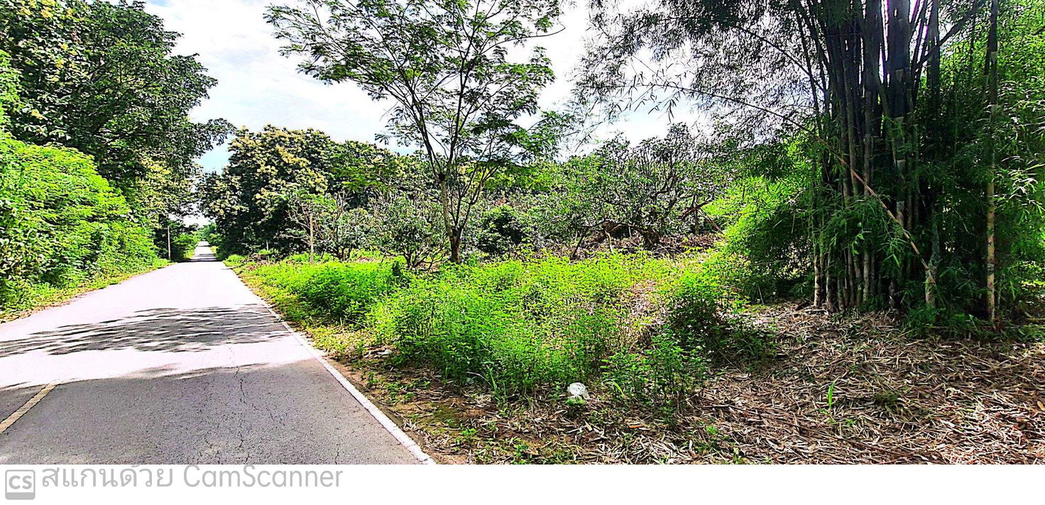 รูป ที่ดิน 7741.9 ตร.วา พร้าว เชียงใหม่ 3.8M - รูปที่ 5/6