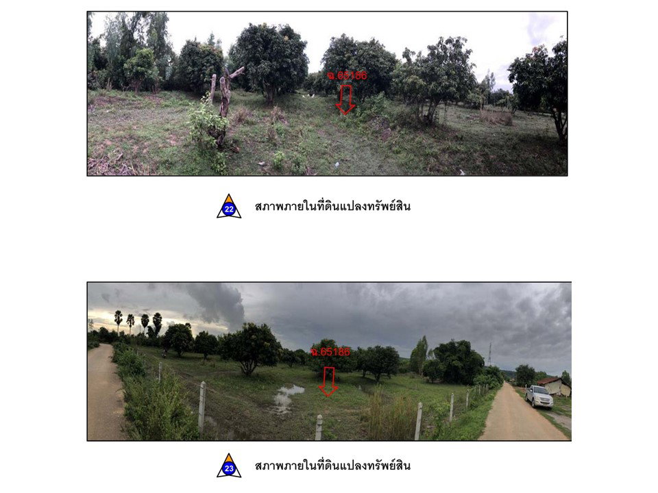 picture LAND 6295 Sq.w. Phrom Phiram Phitsanulok for 2.8M - 8/8