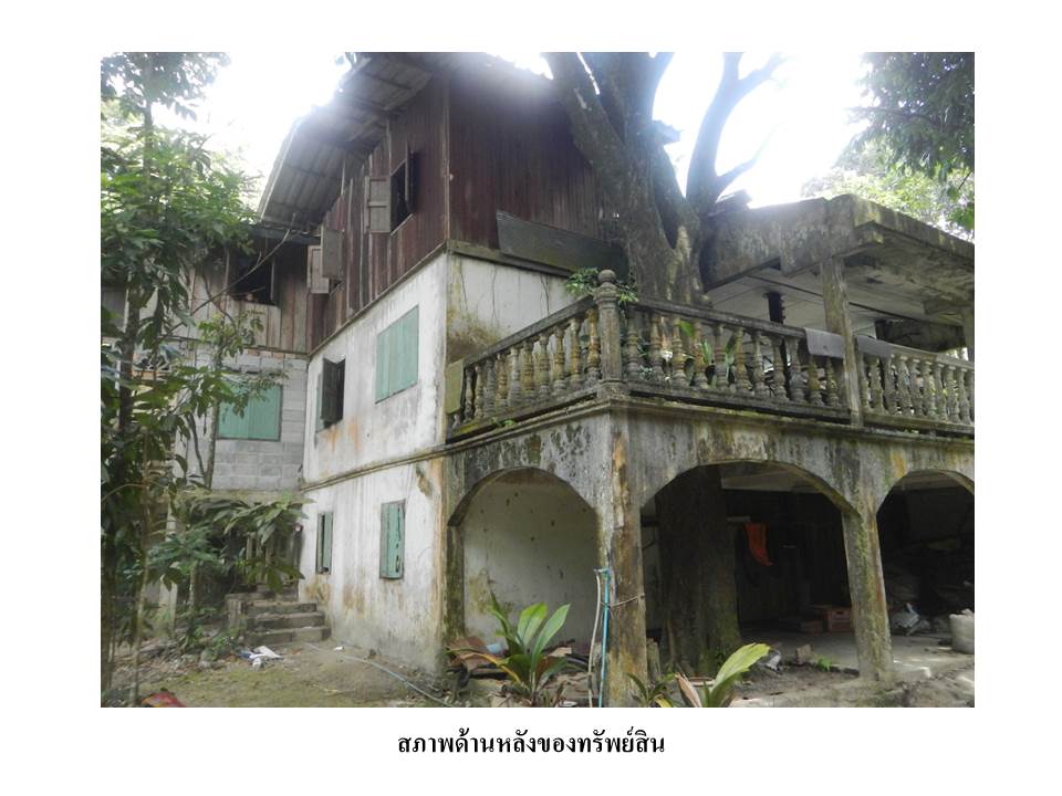 รูป ที่ดินพร้อมสิ่งปลูกสร้าง 230 ตร.วา สุไหงปาดี นราธิวาส 914,000 - รูปที่ 5/5