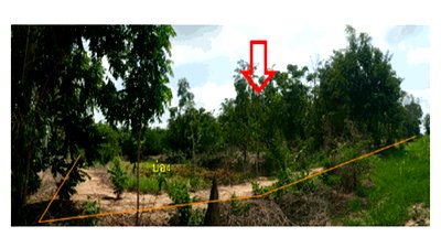 โรงงาน บางระกำ พิษณุโลก : ที่ดินพร้อมสิ่งปลูกสร้าง 8822 ตร.วา บางระกำ พิษณุโลก 9M