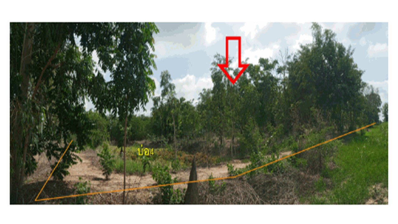 รูป ที่ดินพร้อมสิ่งปลูกสร้าง 8822 ตร.วา บางระกำ พิษณุโลก 9M - รูปที่ 1/10