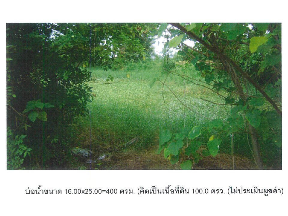 รูป ที่ดินพร้อมสิ่งปลูกสร้าง 575 ตร.วา พิชัย อุตรดิตถ์ 1.4M - รูปที่ 5/5