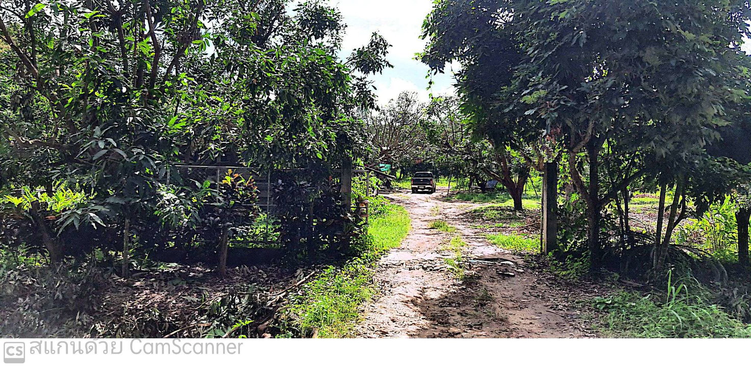 รูป ที่ดิน 7741.9 ตร.วา พร้าว เชียงใหม่ 3.8M - รูปที่ 6/6
