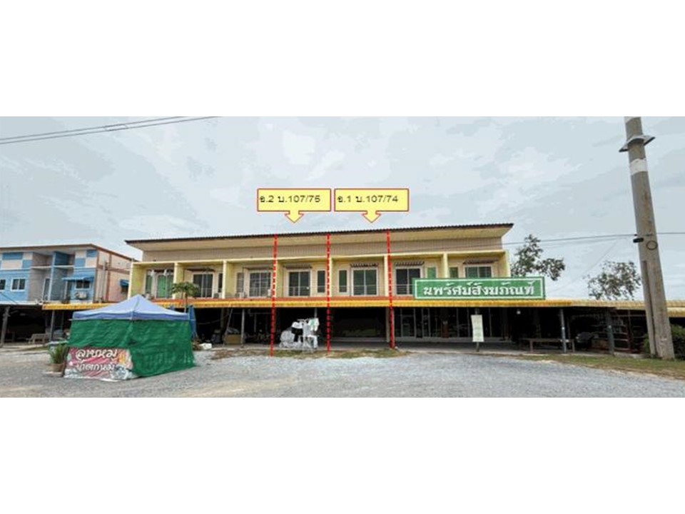 picture LAND 40 Sq.w. Wiset Chaichan Angthong for 2.7M - 1/2